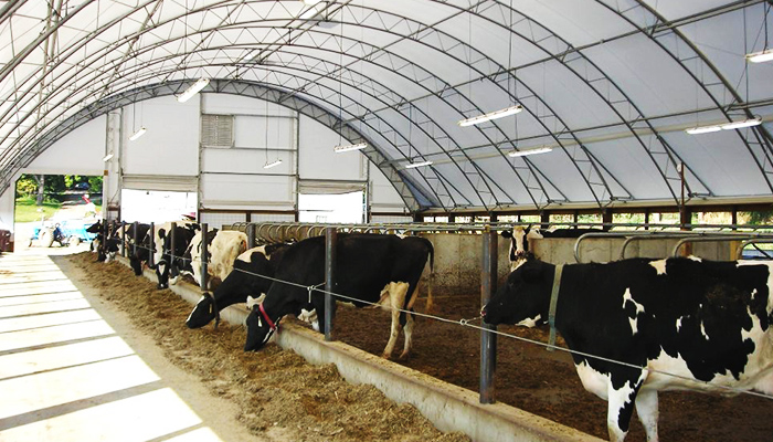 Furnish and install fabric building - hoop barn construction