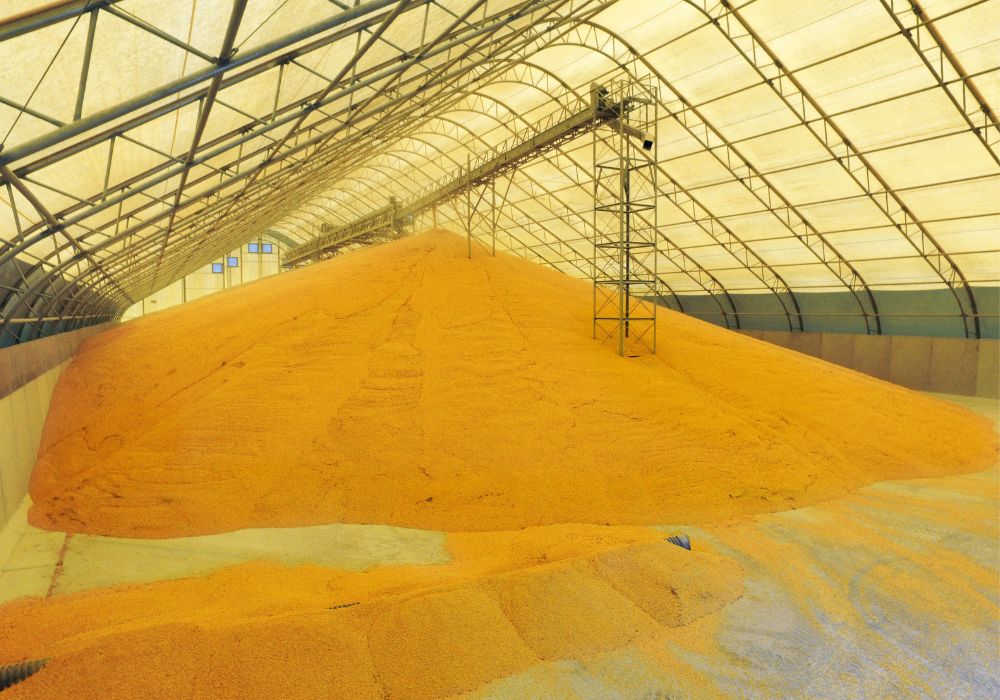 Glacial Plains Cooperative Flat Grain Storage Building
