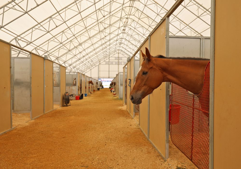 Equestrian Barns & Horse Arena Builders Near Me