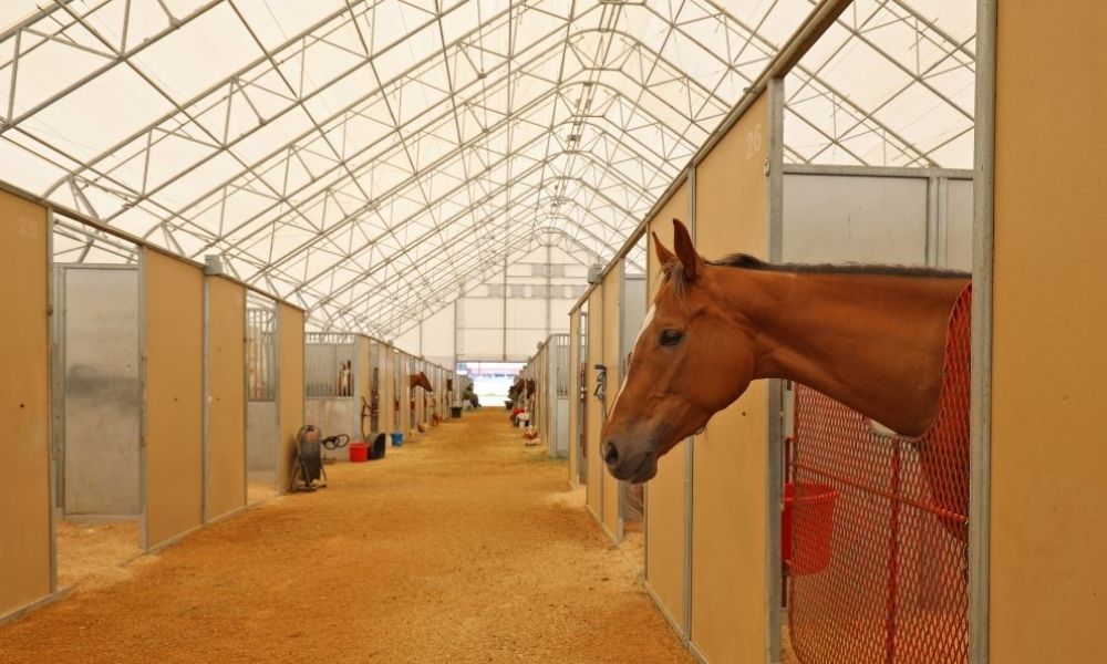 equestrian barns georgia