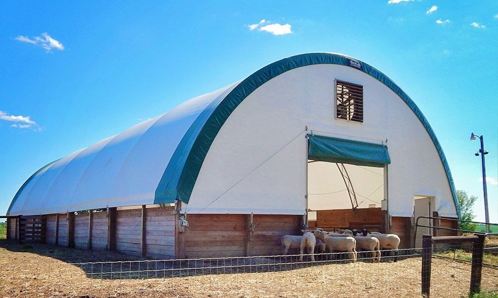 goat barn south dakota