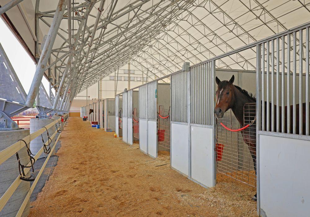 Indoor Riding Arena with Stalls Plans | GC Fabric Building Division